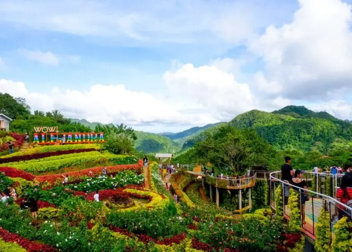 Colorful flowers at Buwakan ni Alejandra during a Cebu day trip package.
