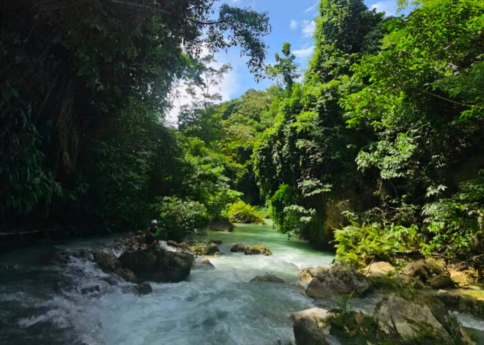 Crystal-clear river flowing through the lush tropical forest along the Kawasan Canyoneering trail in Badian, Cebu, Philippines.