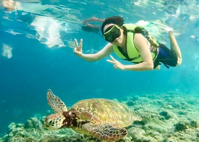 Sea turtle snorkeling in Moalboal, Cebu