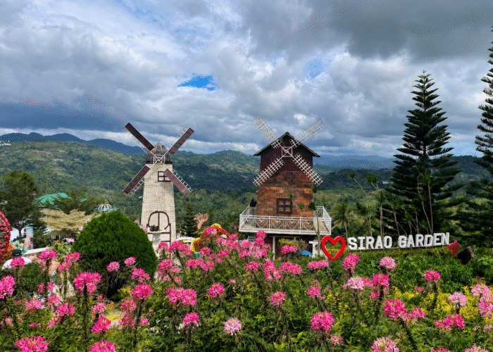 Cebu day tours featuring heritage and scenic attractions