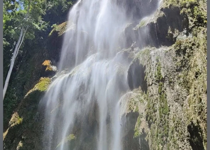 Water flowing down the tall, moss-covered rock formations of Tumalog Waterfall.